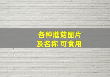 各种蘑菇图片及名称 可食用